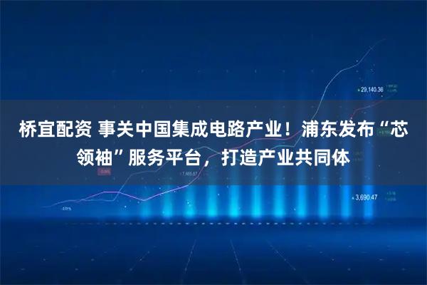 桥宜配资 事关中国集成电路产业！浦东发布“芯领袖”服务平台，打造产业共同体