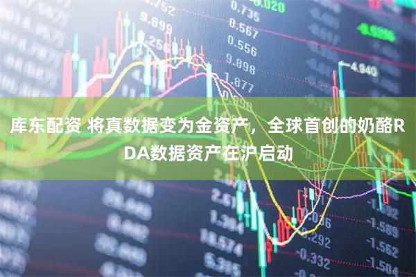 库东配资 将真数据变为金资产，全球首创的奶酪RDA数据资产在沪启动